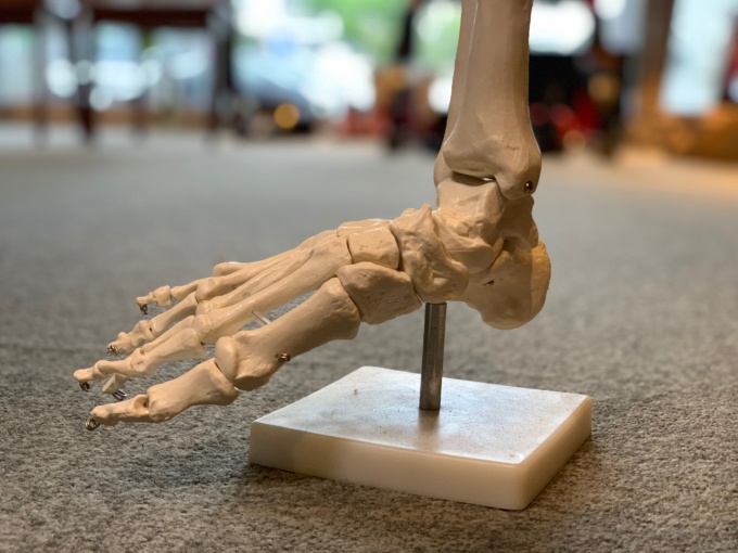 足の骨